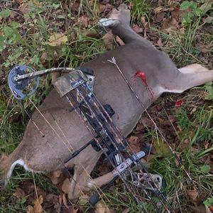 Meet your Posher, Payton